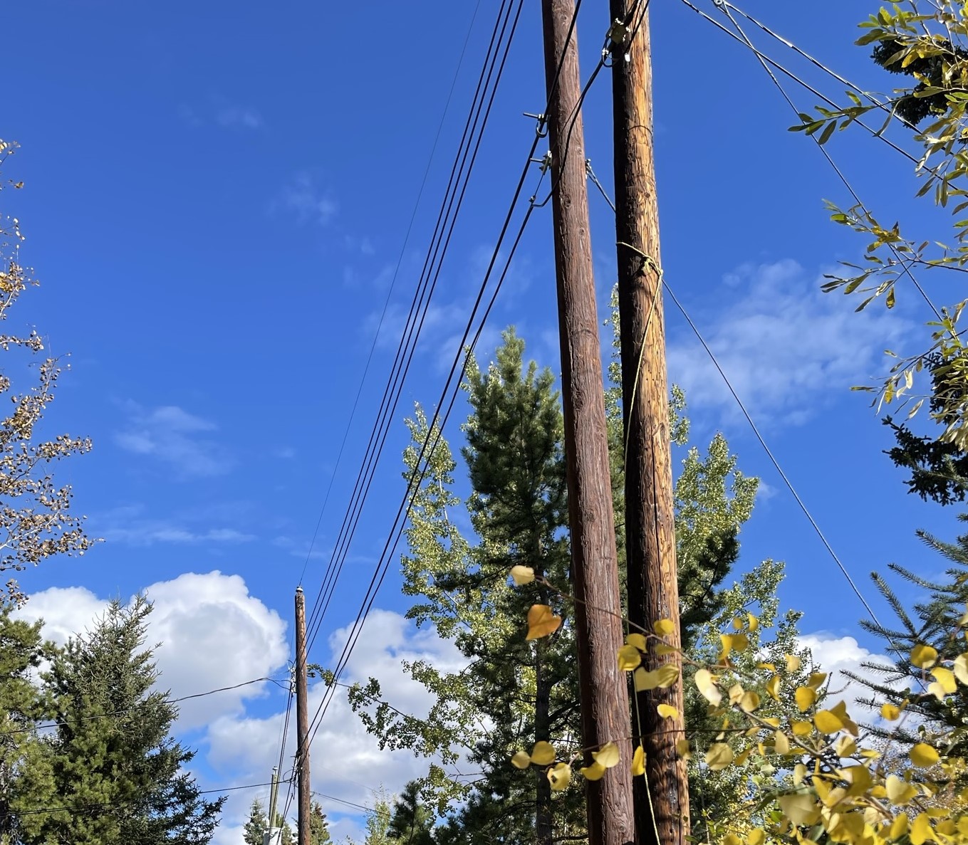 Fort Resolution Distribution Poles Replacement Program | Northwest Territories Power Corporation