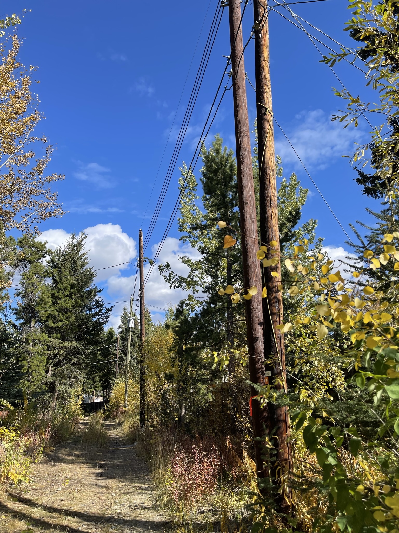 Fort Resolution Distribution Poles Replacement Program | NTPC